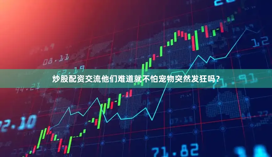 炒股配资交流他们难道就不怕宠物突然发狂吗？