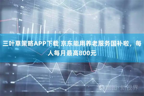 三叶草策略APP下载 京东能用养老服务国补啦，每人每月最高800元